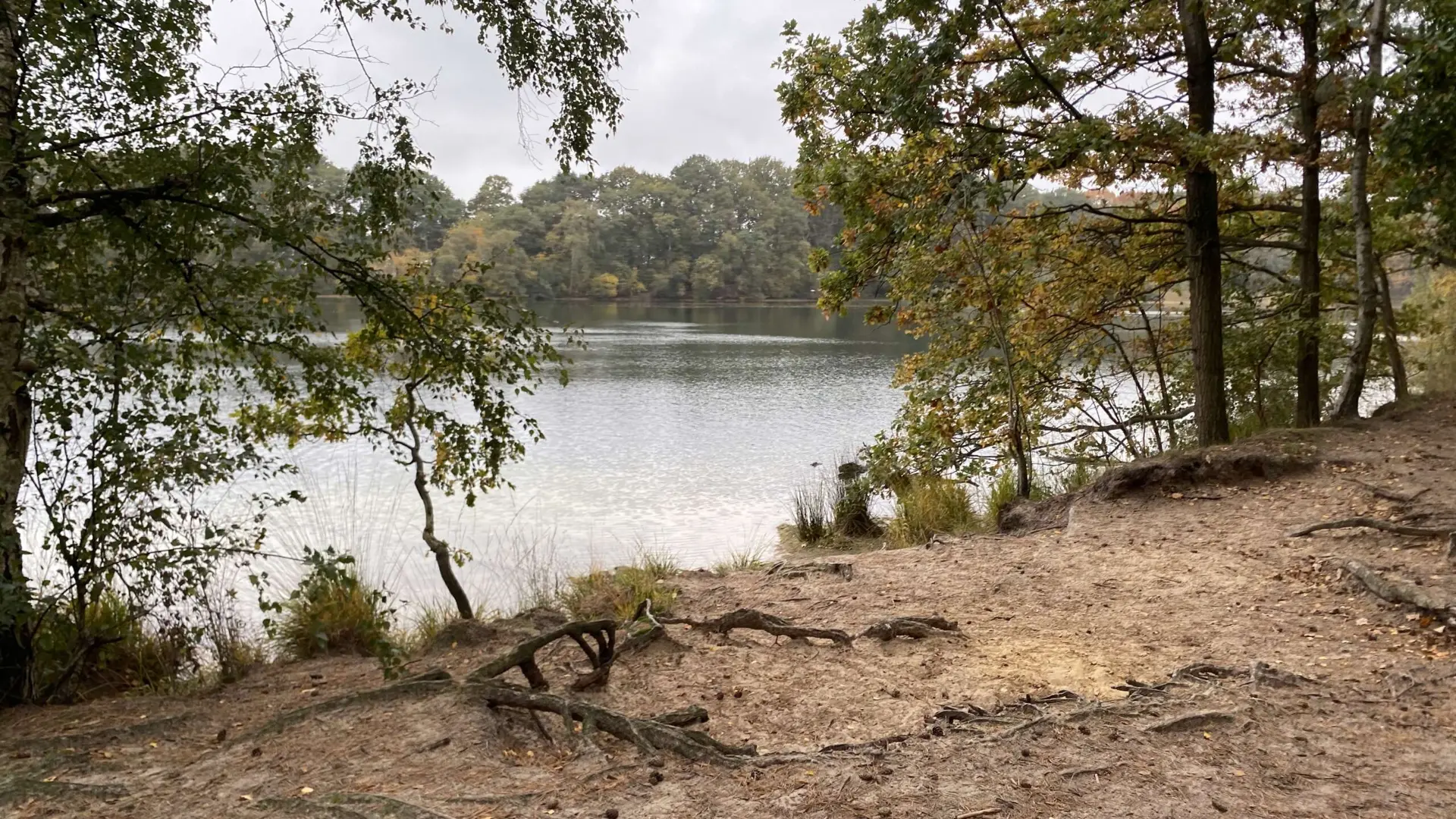 7. De IJzeren Man 7. De IJzeren Man – 10x de leukste herfstwandelingen in Den Bosch (foto 2 van 2)