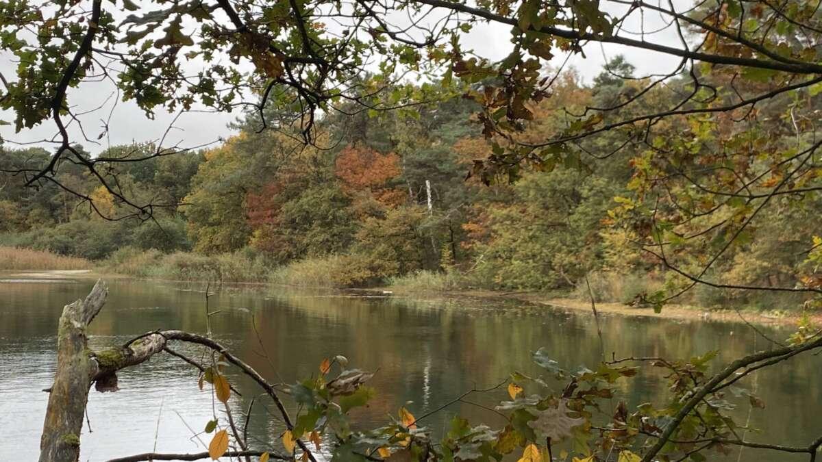 10x de leukste herfstwandelingen in Den Bosch