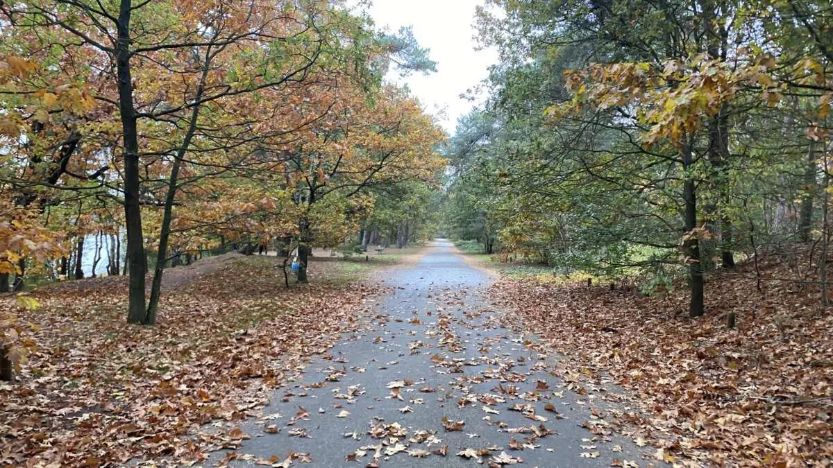 7. De IJzeren Man 7. De IJzeren Man – 10x de leukste herfstwandelingen in Den Bosch (foto 1 van 2)