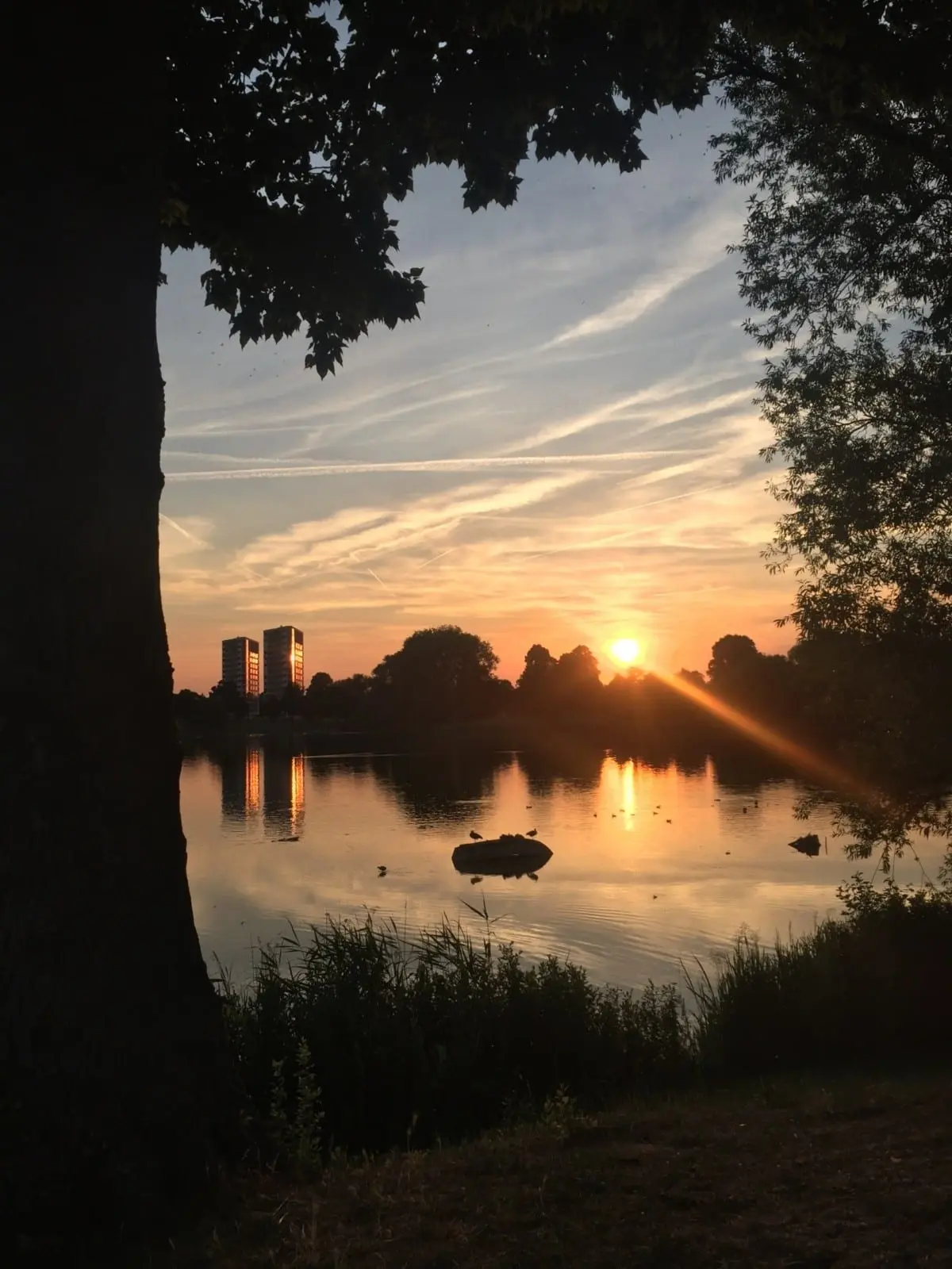Groote Wielenplas Groote Wielenplas – 5x wandelen in en rondom Den Bosch (foto 2 van 3)