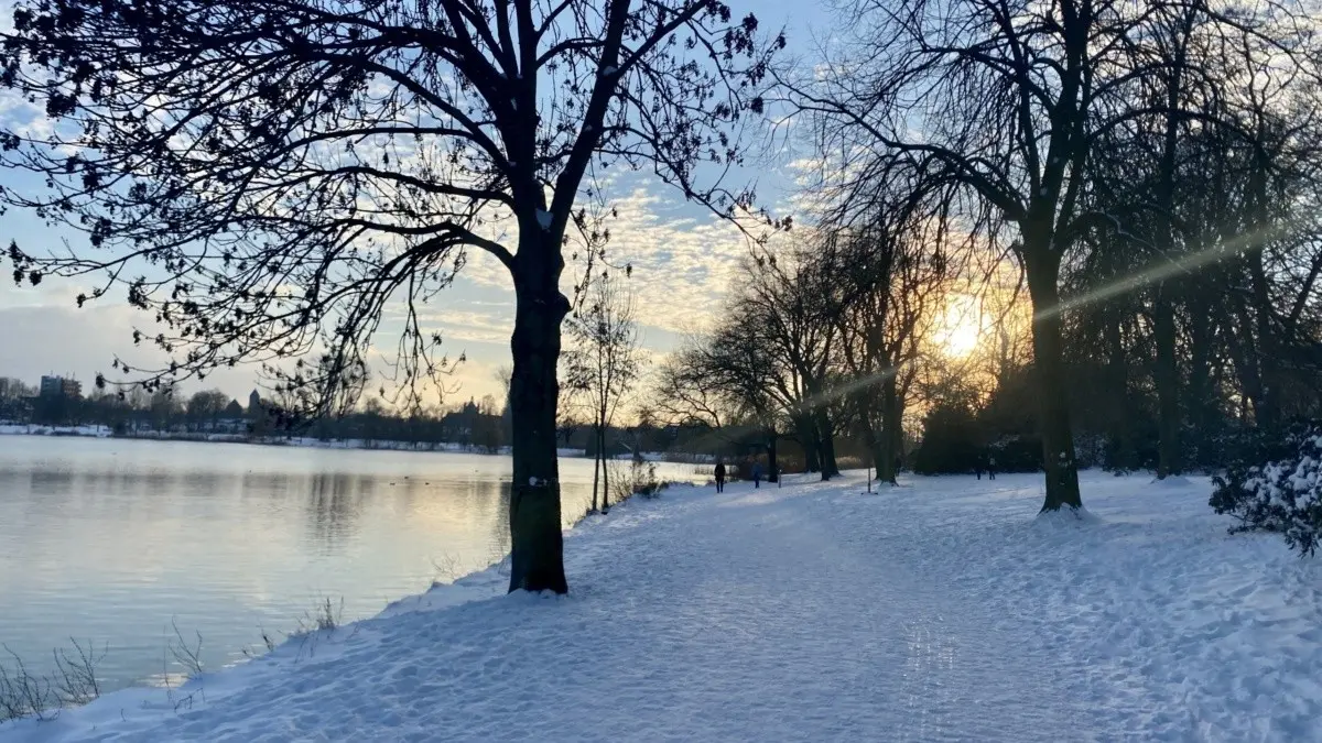 Groote Wielenplas Groote Wielenplas – 5x wandelen in en rondom Den Bosch (foto 1 van 3)