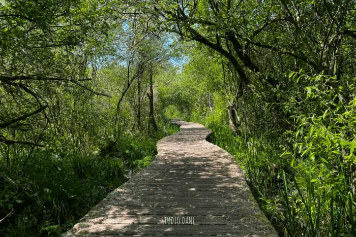 De Moerputten De Moerputten – 5x wandelen in en rondom Den Bosch