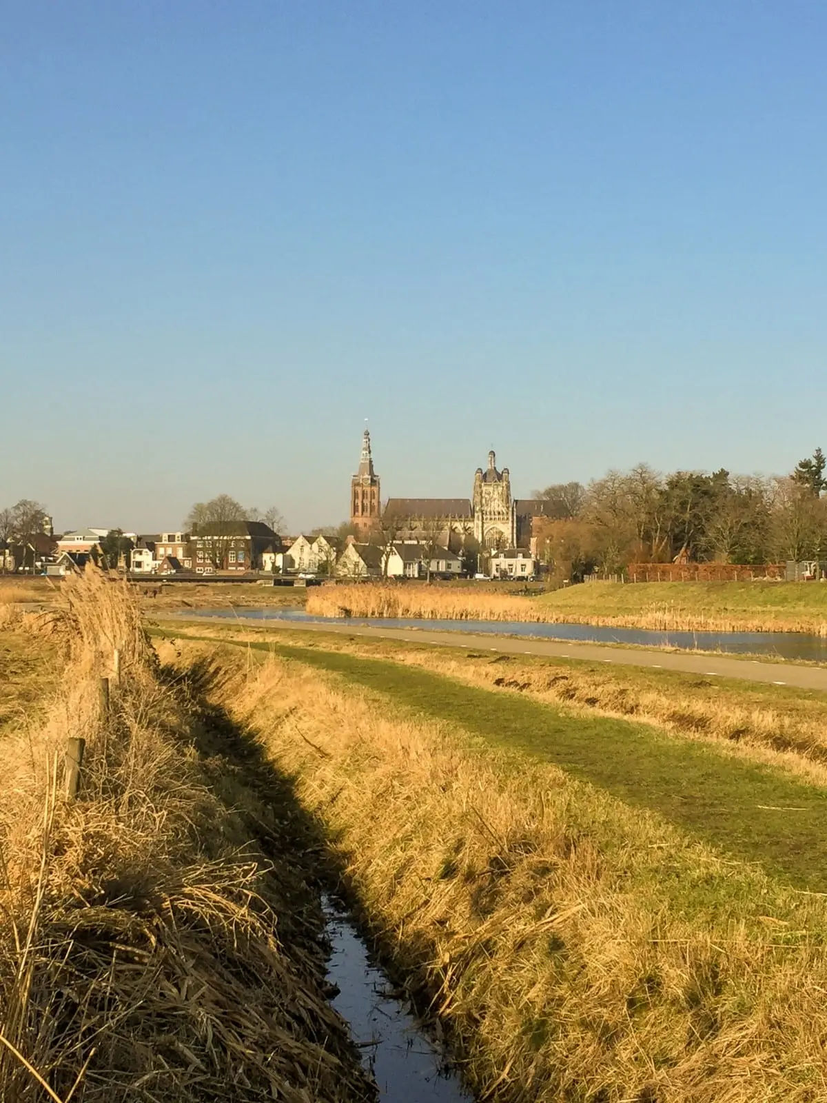Natuurgebied het bossche broek Natuurgebied het bossche broek – 5x wandelen in en rondom Den Bosch (foto 1 van 3)