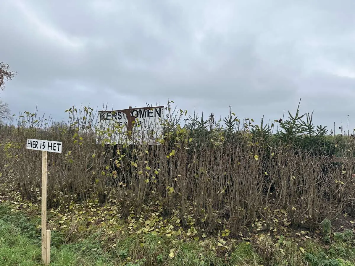 Ga je dit jaar voor een echte kerstboom? Bij deze boeren en winkels in en rondom Den Bosch kun je terecht! Ga je dit jaar voor een echte kerstboom? Bij deze boeren en winkels in en rondom Den Bosch kun je terecht! – 7x een echte kerstboom kopen in en rondom Den Bosch
