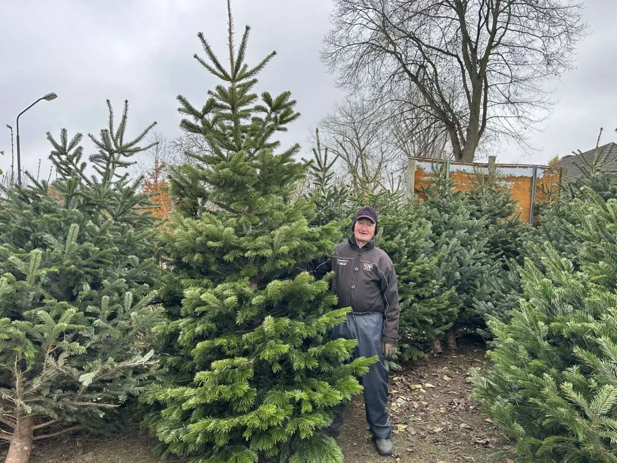 Bij de boer in Den Dungen Bij de boer in Den Dungen – 7x een echte kerstboom kopen in en rondom Den Bosch