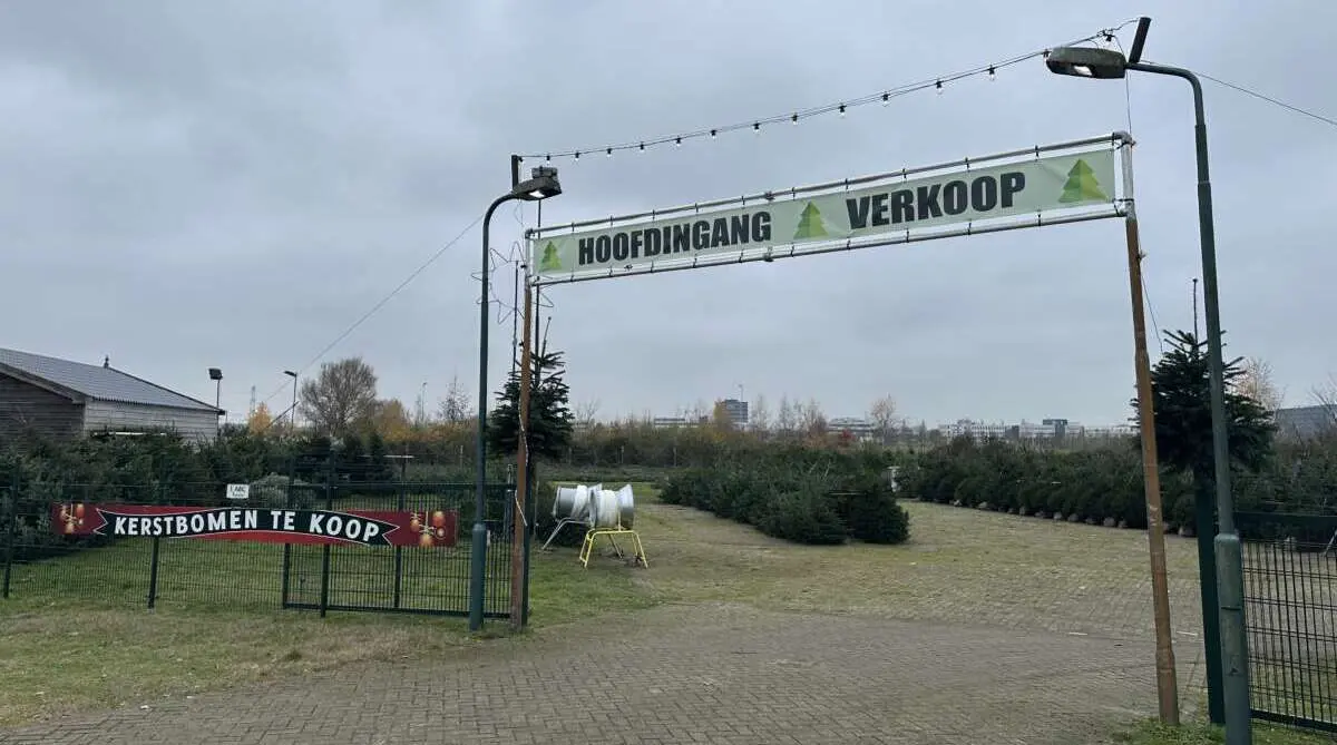 7x een echte kerstboom kopen in en rondom Den Bosch