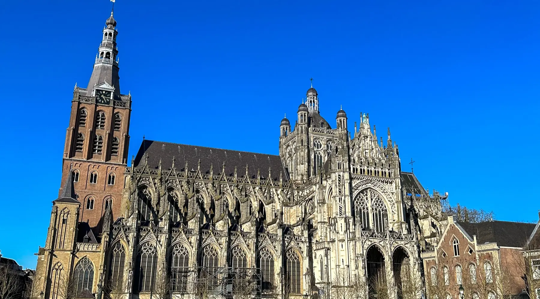 9x gratis activiteiten in Den Bosch 9x gratis activiteiten in Den Bosch