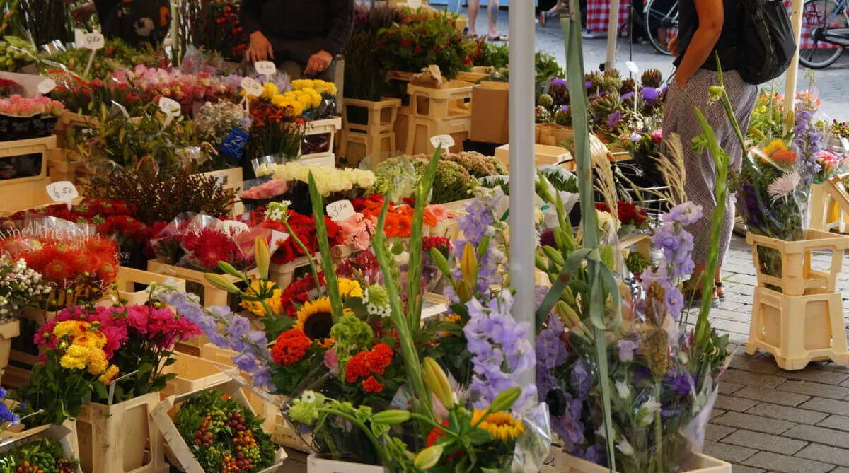 Blauwe bloemen van de markt Blauwe bloemen van de markt – Blue Monday: blauw waar je blij van wordt, Den Bosch (foto 1 van 3)
