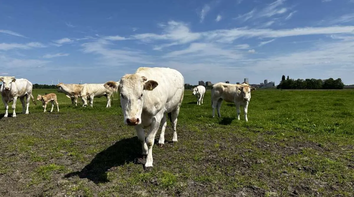 Boerderijwinkels rondom Den Bosch (Deel II)