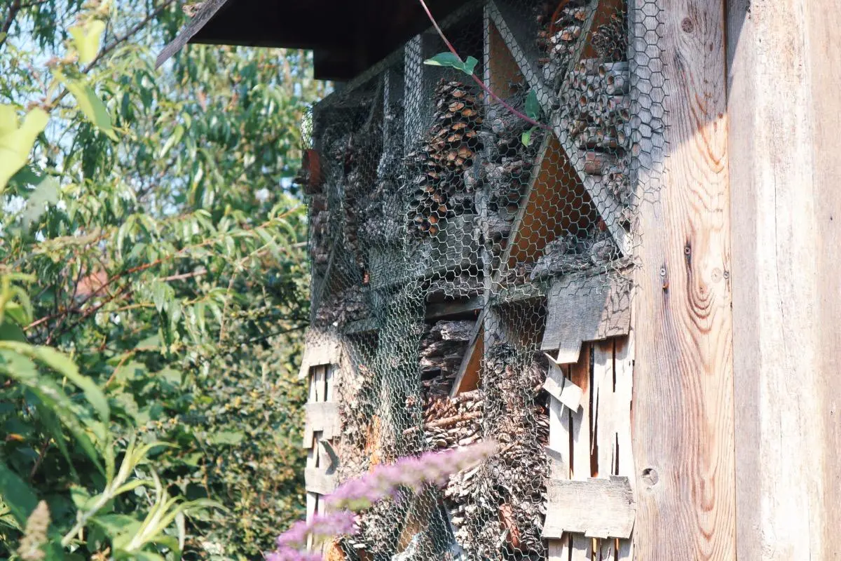 VAN KUNSTMUUR TOT MOESTUIN VAN KUNSTMUUR TOT MOESTUIN – Boschveld Guide door een bewoner, Den Bosch