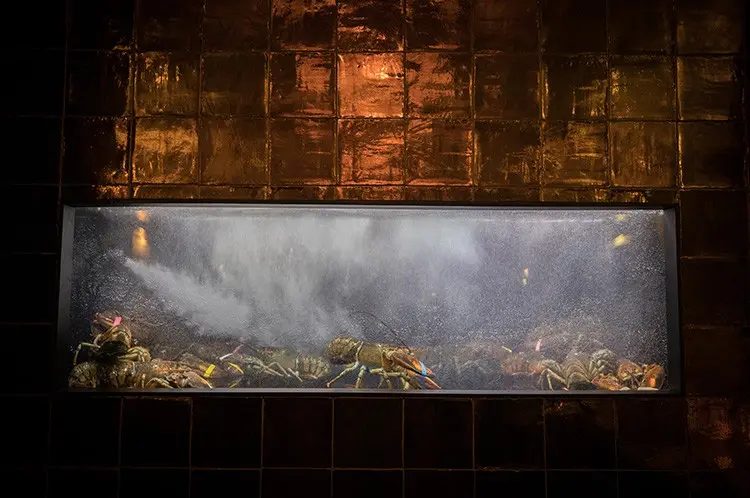 Restaurant Le Méridien Restaurant Le Méridien – Bourgondisch genieten? Kom naar de Korte Putstraat!, Den Bosch