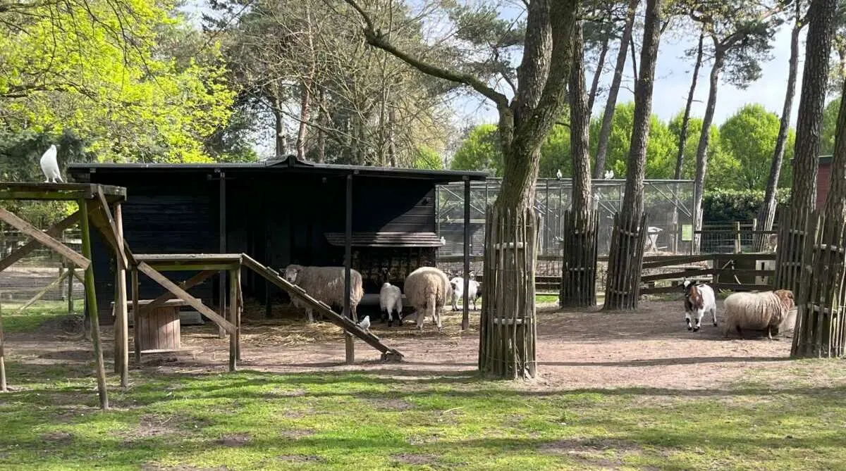 Dierenpark Maliskamp Dierenpark Maliskamp – De leukste kinderboerderijen van Den Bosch