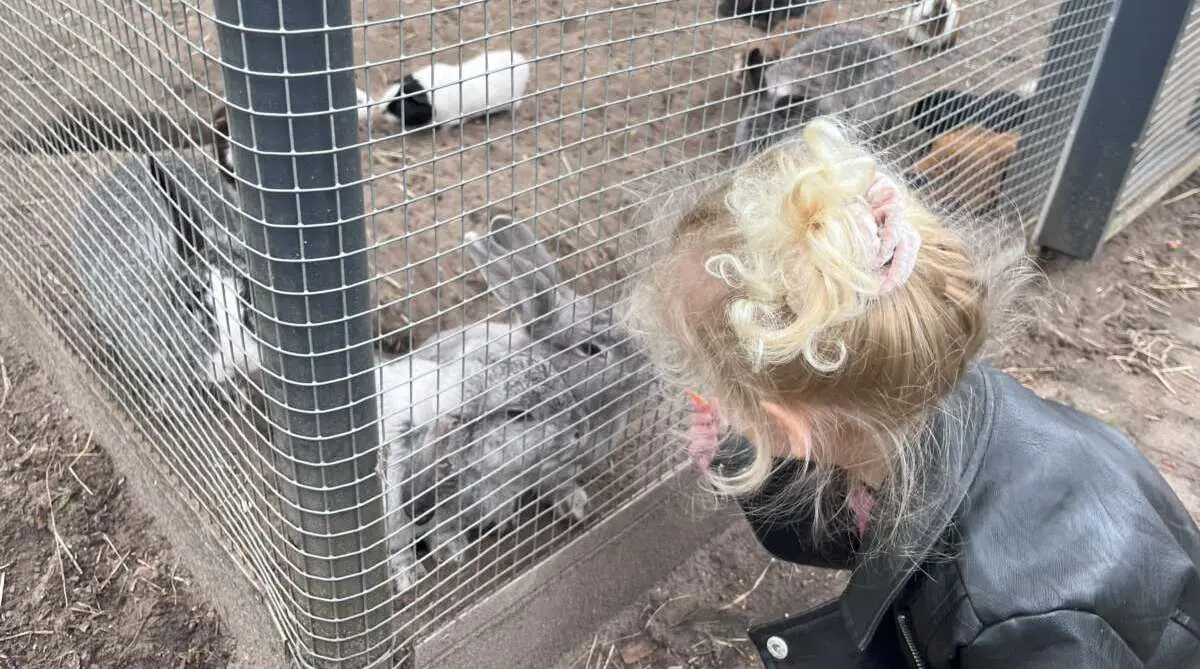 Dierenpark Maliskamp Dierenpark Maliskamp – De leukste kinderboerderijen van Den Bosch