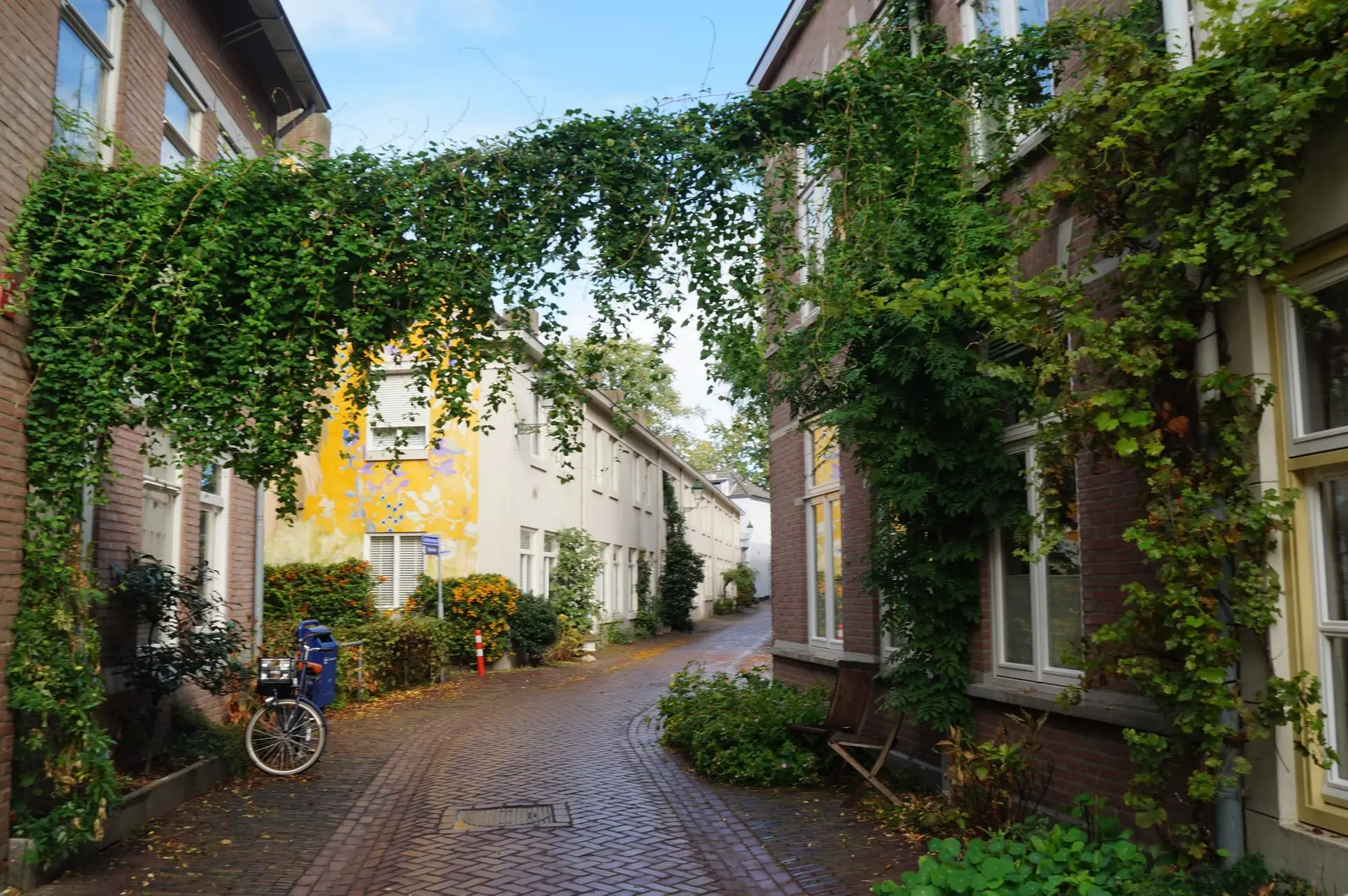 Romeinse adelfamilie Romeinse adelfamilie – De Schilderstraat – een bijzondere geschiedenis achter de idyllische huisjes, Den Bosch (foto 2 van 2)