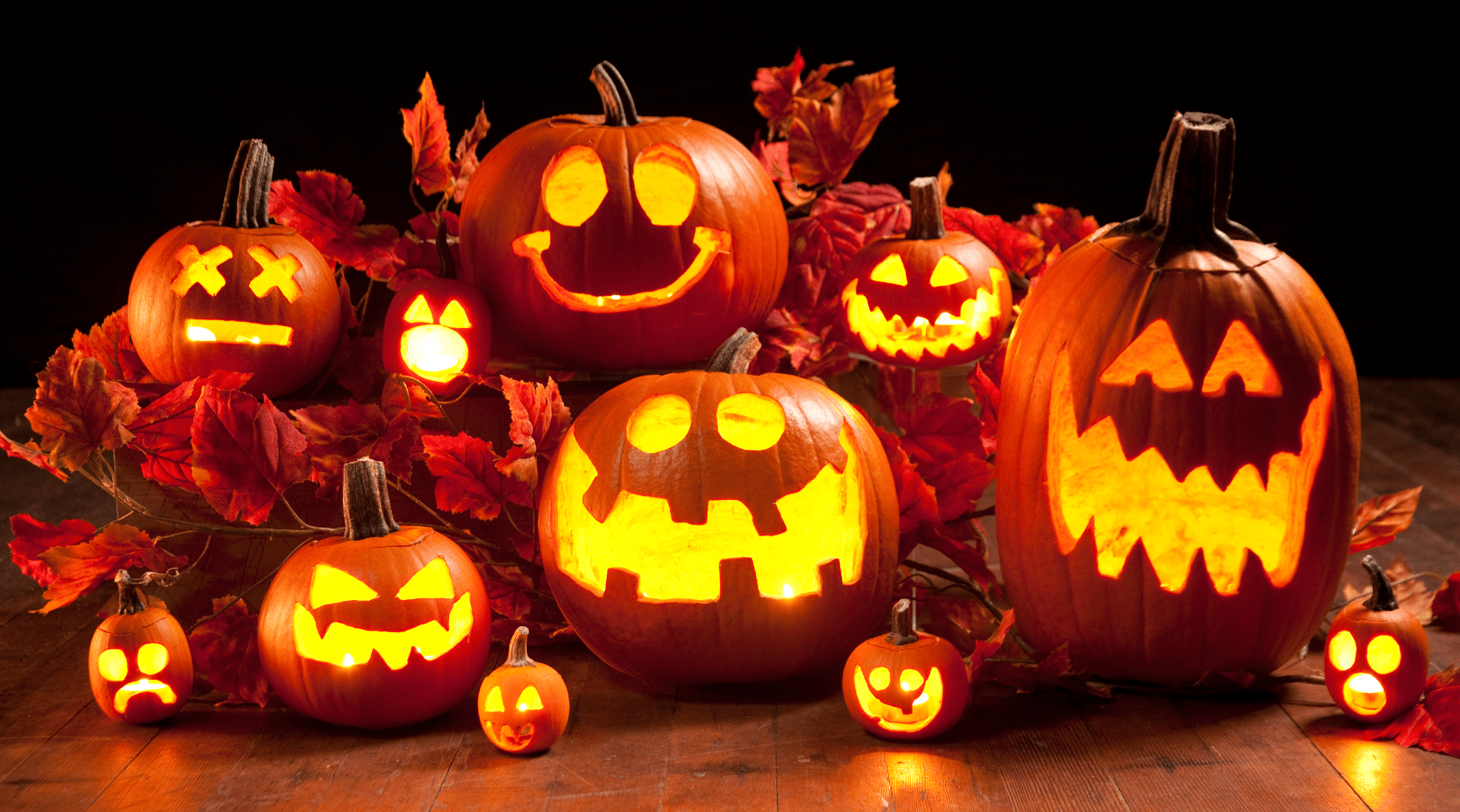 DIY Halloween: griezelen in Den Bosch (met of zonder kids)