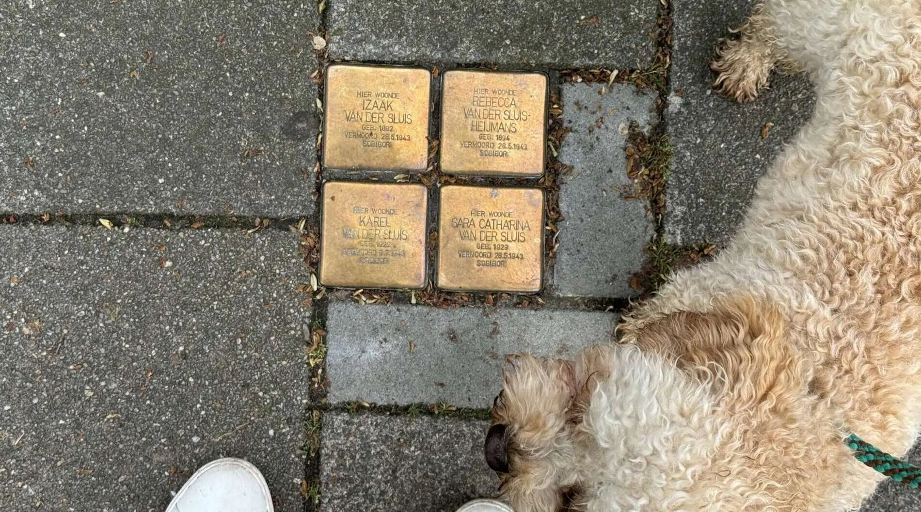 Oorlogsmonumenten in Den Bosch Oorlogsmonumenten in Den Bosch – Dodenherdenking en Bevrijdingsdag in Den Bosch (foto 2 van 2)