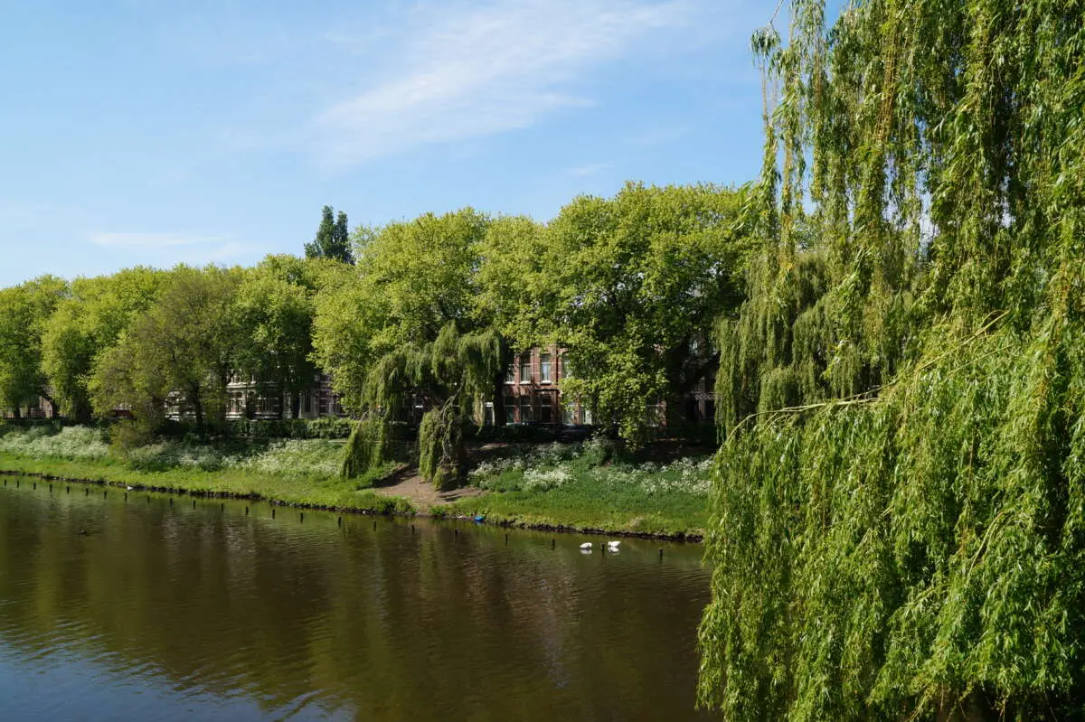 Bouw van Het Zand in Den Bosch Bouw van Het Zand in Den Bosch – Geschiedenis van Het Zand in Den Bosch