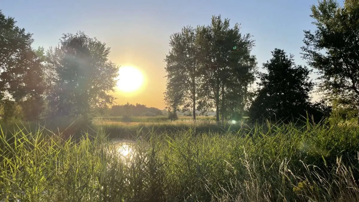 Het natuurgebied van Den Bosch: Het Bossche Broek