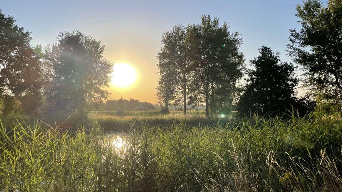 Het natuurgebied van Den Bosch: Het Bossche Broek