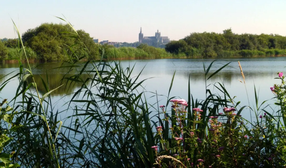 Een actieve middag Een actieve middag – Een (lang) weekend in Den Bosch: Onze tips!