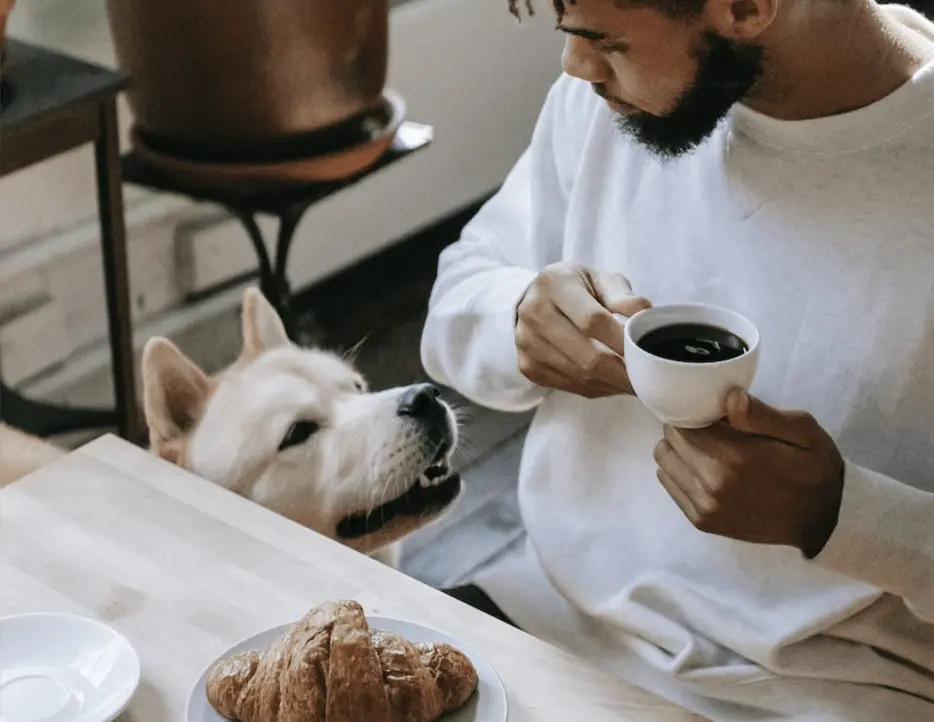 Chatwick Coffee Chatwick Coffee – Met je hond op pad? In deze hondvriendelijke restaurants ben je welkom!, Den Bosch