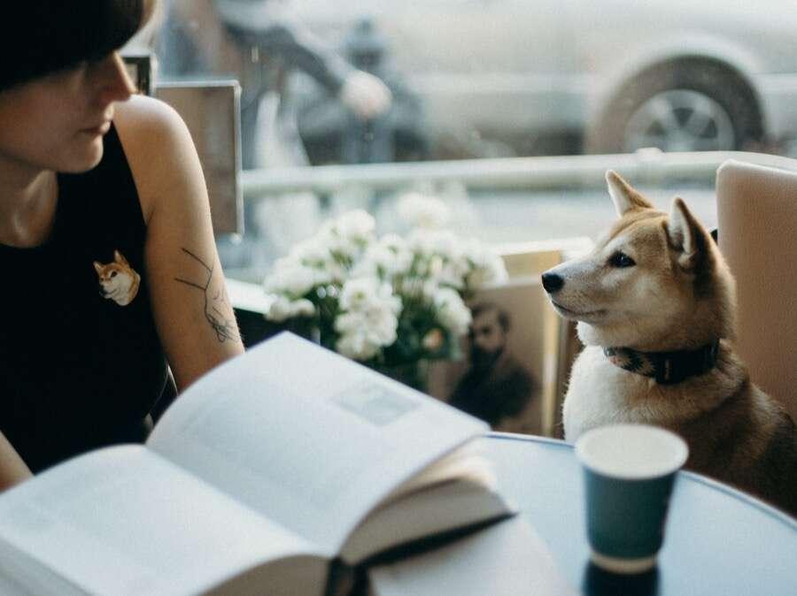 Met je hond op pad? In deze hondvriendelijke restaurants ben je welkom!