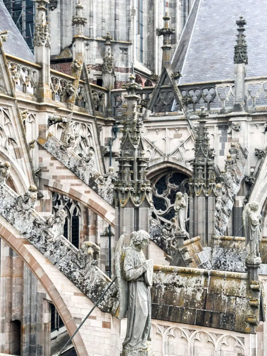 De Kathedrale Basiliek Sint Jan Evangelist is toegewijd aan de apostel Johannes: de Sint-Janskathedraal of in het kort dus de Sint-Jan. De Kathedrale Basiliek Sint Jan Evangelist is toegewijd aan de apostel Johannes: de Sint-Janskathedraal of in het kort dus de Sint-Jan. – Onze ouwe Sint-Jan: een korte geschiedenis over de Sint-Janskathedraal, Den Bosch