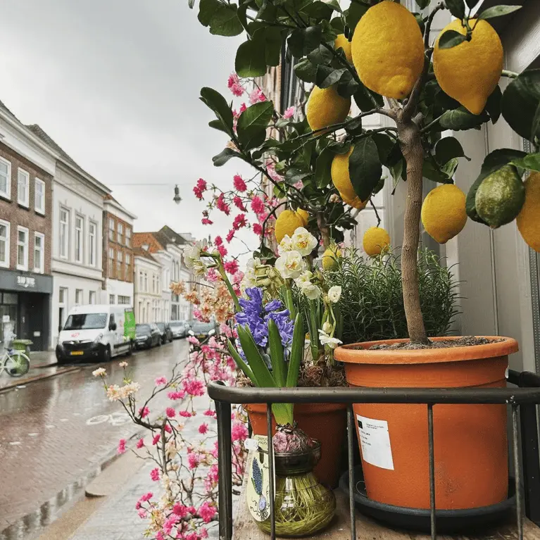 Pasen = lente = bloemetjes Pasen = lente = bloemetjes – Pasen: deze musthaves mogen niet ontbreken, Den Bosch (foto 2 van 2)