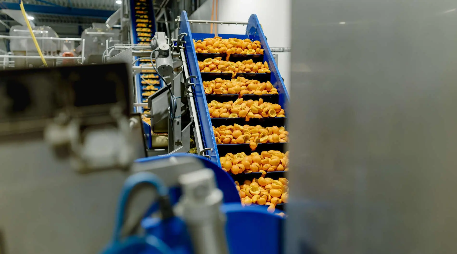 PeelPioneers: transformatie van citrusafval naar waardevolle grondstoffen