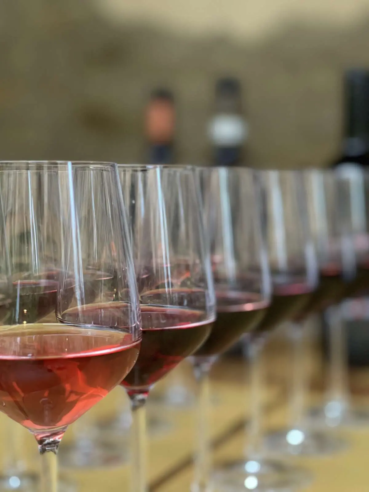 Wijnhandel van bossche bodem Wijnhandel van bossche bodem – Time to Wine: Wijn gemaakt door familiebedrijven, Den Bosch (foto 1 van 3)