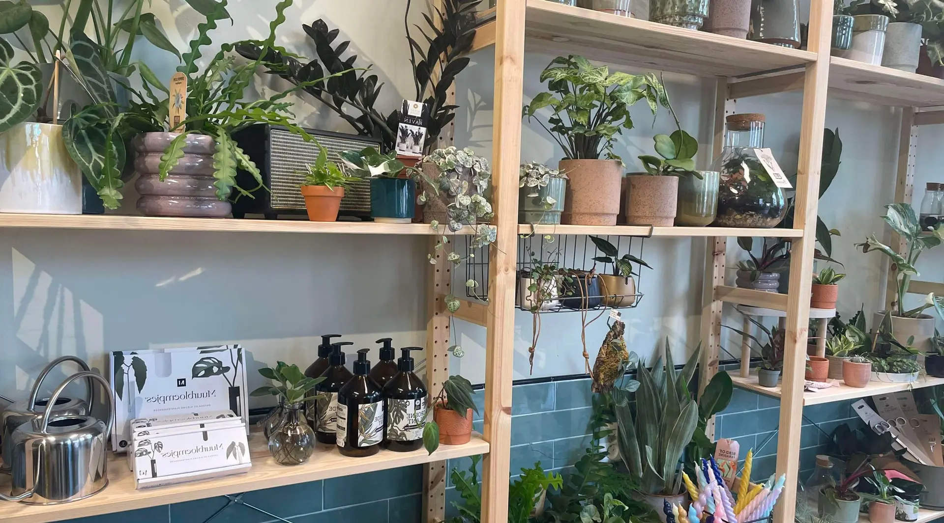 Planten Planten – Zo maak jij thuis de ultieme chillplek!, Den Bosch