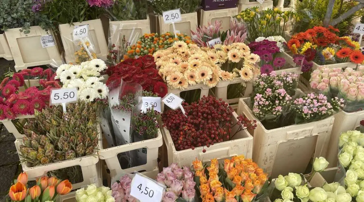 Bloemen Bloemen – Zo maak jij thuis de ultieme chillplek!, Den Bosch (foto 2 van 2)