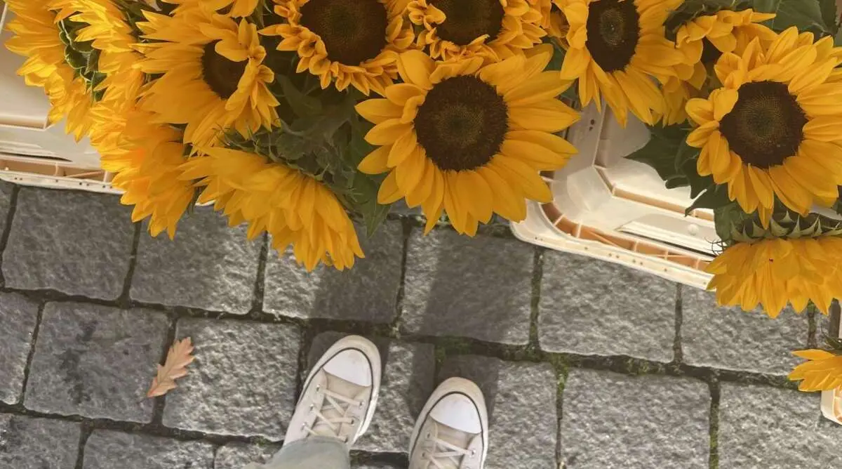 Zo maak jij thuis de ultieme chillplek!