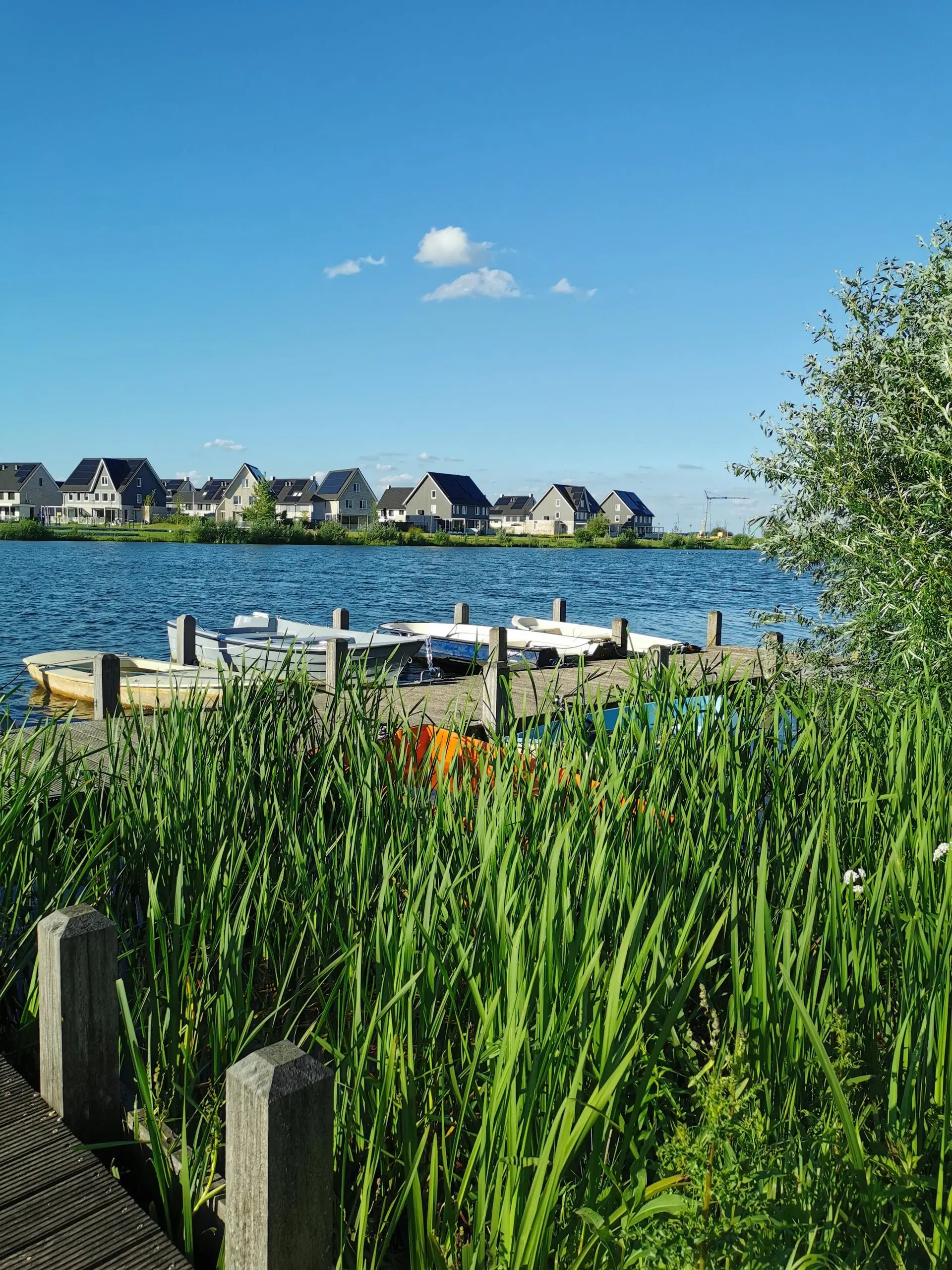 Tips voor de leukste gratis activiteiten Tips voor de leukste gratis activiteiten – Zo overleef je de zomervakantie van je kinderen, Den Bosch (foto 1 van 2)
