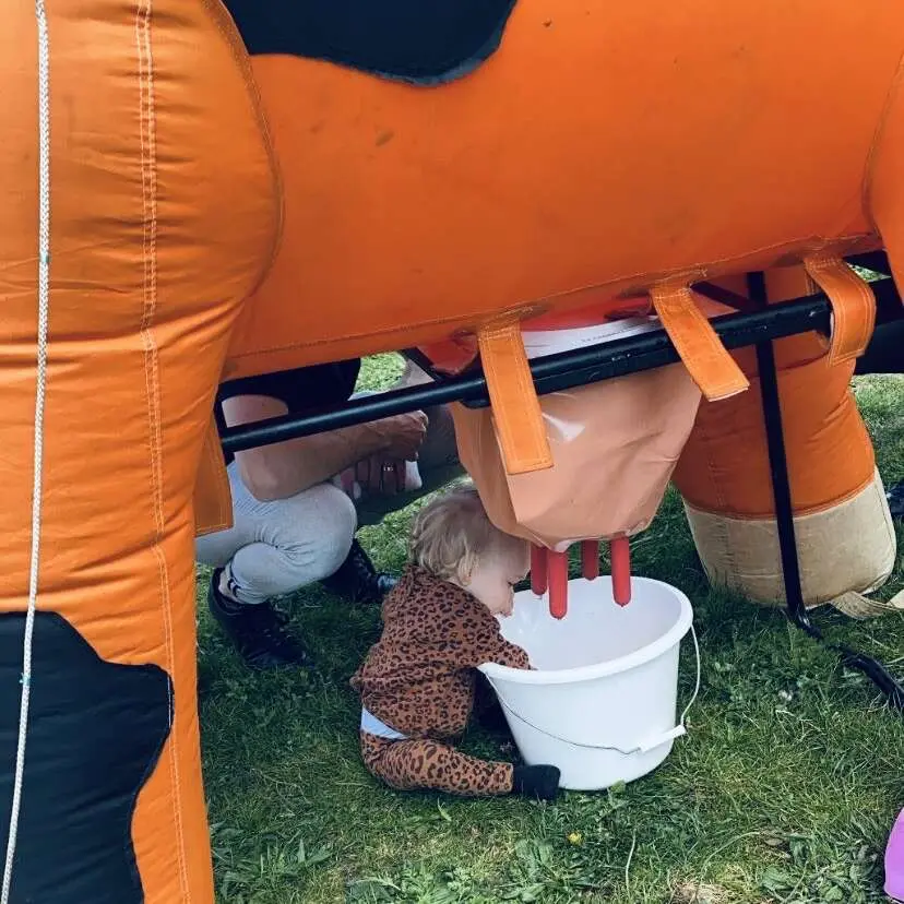 Koningsdag in Rosmalen Koningsdag in Rosmalen – Zo vier je Koningsdag in Den Bosch met je kinderen (foto 2 van 2)