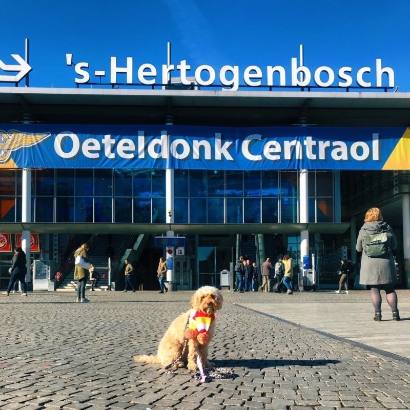Studio Proud - Den Bosch City - Bossche hond Eddie Oeteldonk Centraal Station Den Bosch