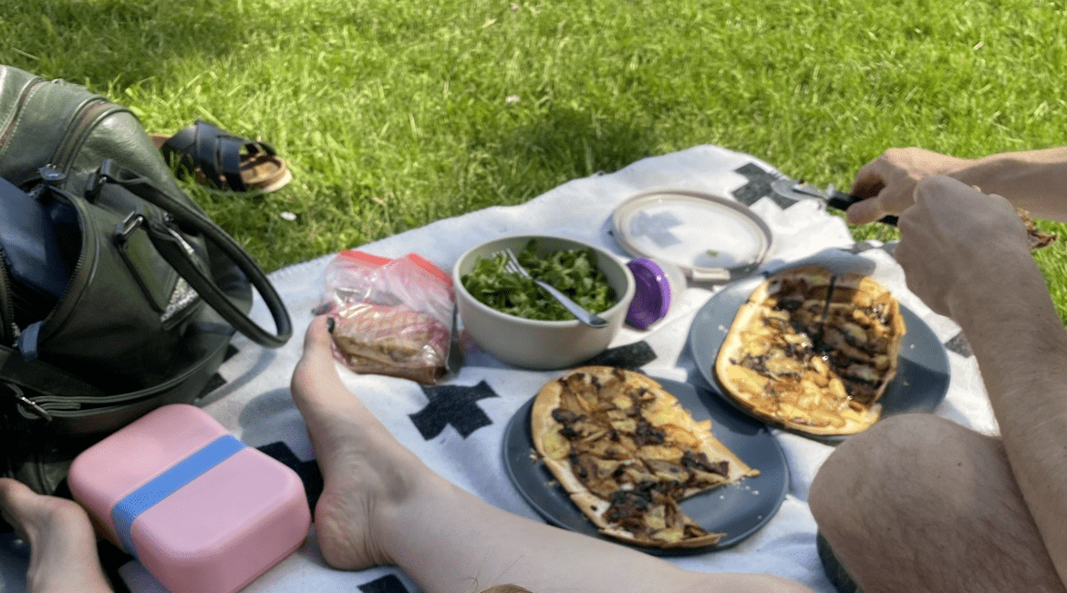 Picknicken in Den Bosch